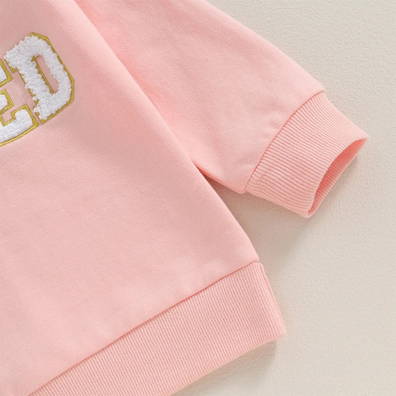 Baby Toddler Pink Loved Valentine’s Day Embroidery Long Sleeve Sweater